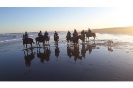 Cabalgata por la playa, médanos  y bosque Cariló Dalmiro 2hs