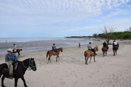 Tarde de cabalgata con almuerzo Tierras Querandies