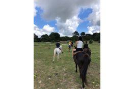Cabalgata guiada por senderos de flora y naturaleza 