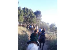 Cabalgata Dalmiro Paseo por el bosque 1hs