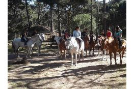 Cabalgata corta por el Bosque de Carilo La reserva