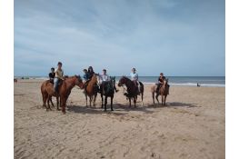 Cabalgata en el bosque y la playa Carilo La Reserva