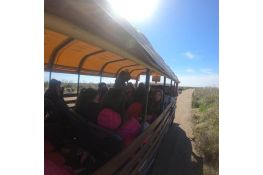 Paseos Guiados Punta Rasa atardecer