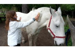 Experiencia fin de semana cabalgatas y mindfulness en Tierras querandies