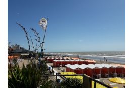 Alquiler de carpa normal P4 personas en Balneario Puerto Macalá